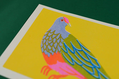 Fruit Dove print