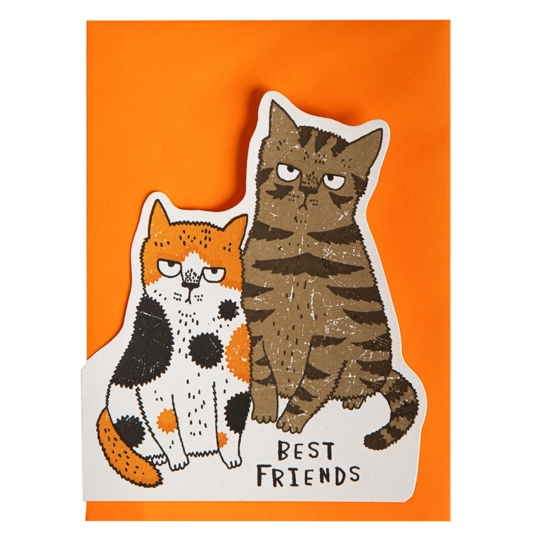 The best friends cats card on its orange envelope