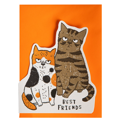 The best friends cats card on its orange envelope
