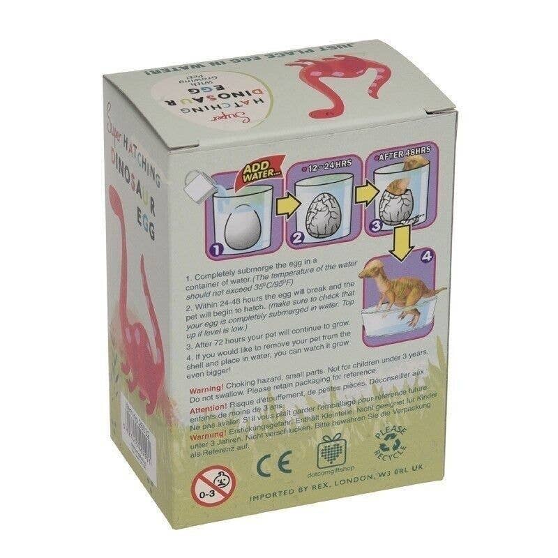 Back of the dinosaur egg box with instructions