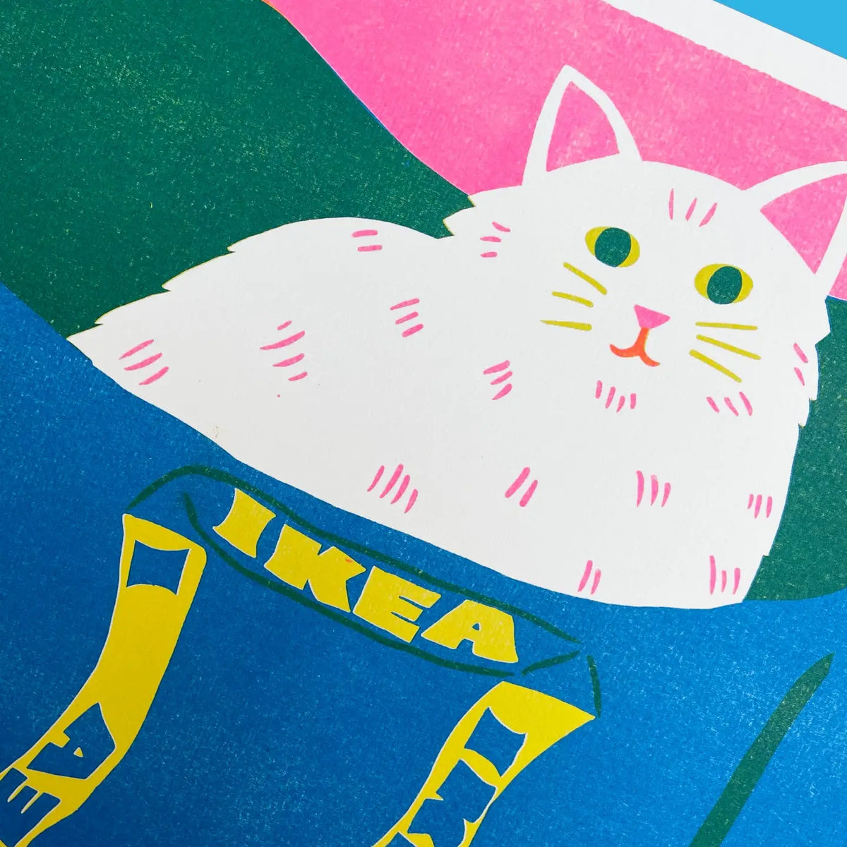 Close-up of the white cat in the IKEA bag