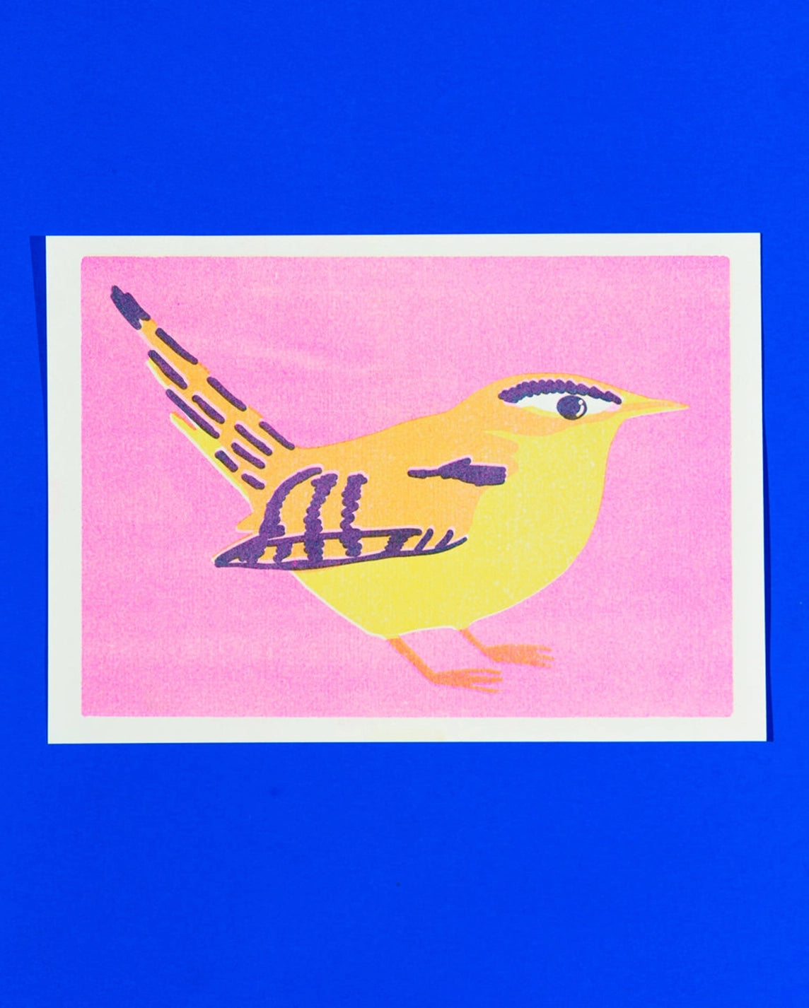 Naomi Wilkinson A5 mini print: a yellow and purple wren on pink