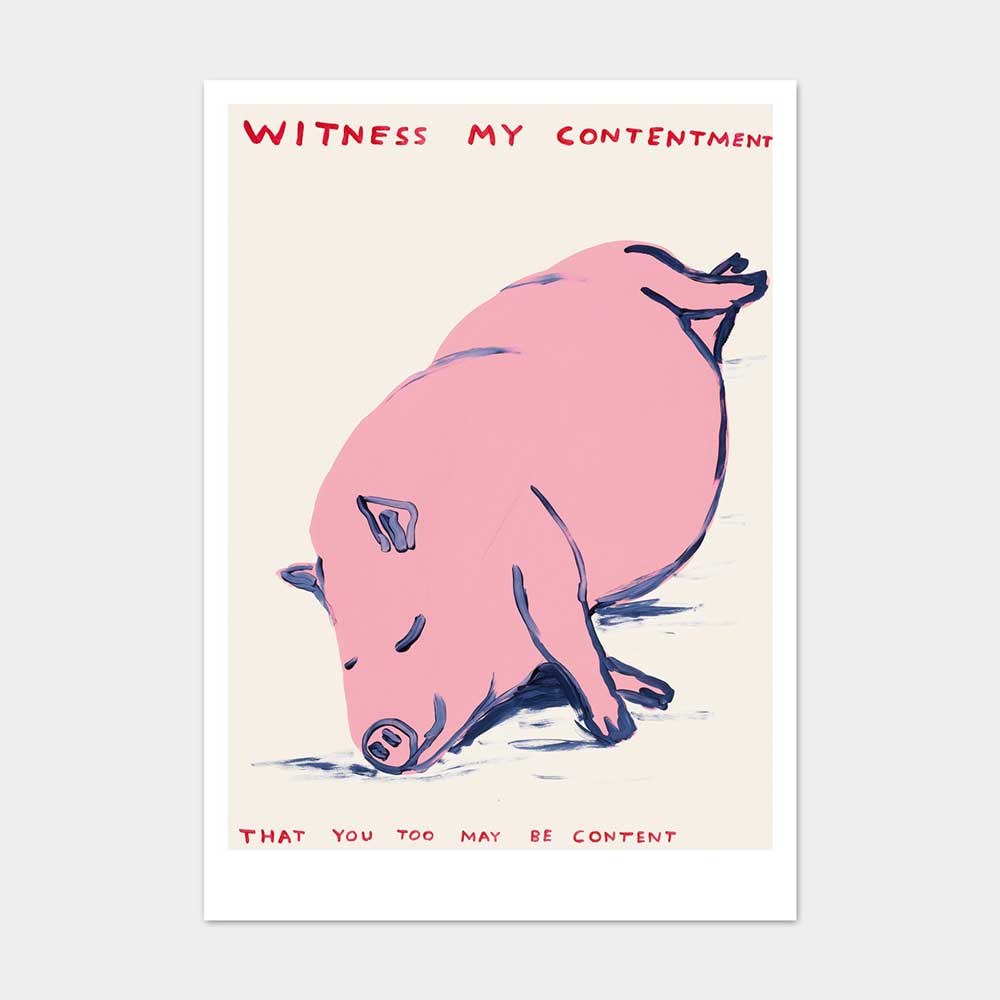 David Shrigley postcard: a pink pig lying down, with the words 'Witness my contentment' and 'That you too may be content'