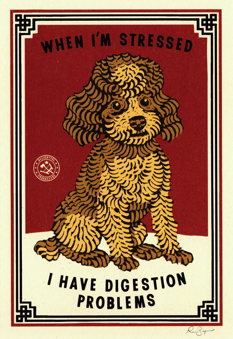 Ravi Zupa A5 print: a poodle with 'When I'm stressed I have digestion problems'