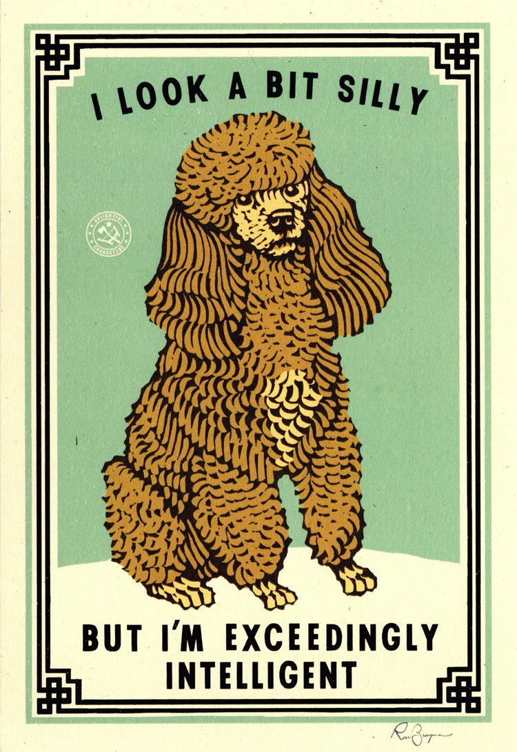 Ravi Zupa A5 print: a poodle with 'I look a bit silly but I'm exceedingly intelligent'