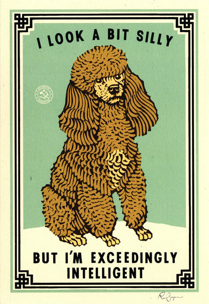 Ravi Zupa A5 print: a poodle with 'I look a bit silly but I'm exceedingly intelligent'