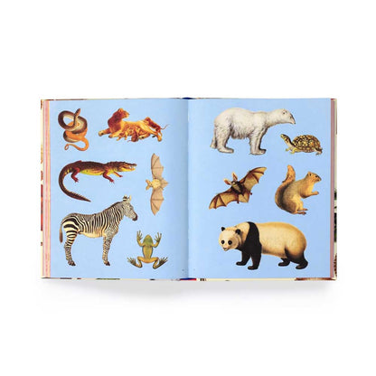 Sticker pages of a zebra, panda, polar bear and other animals