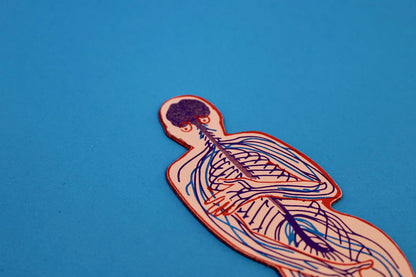 Pink leather bookmark of a body showing its nervous system