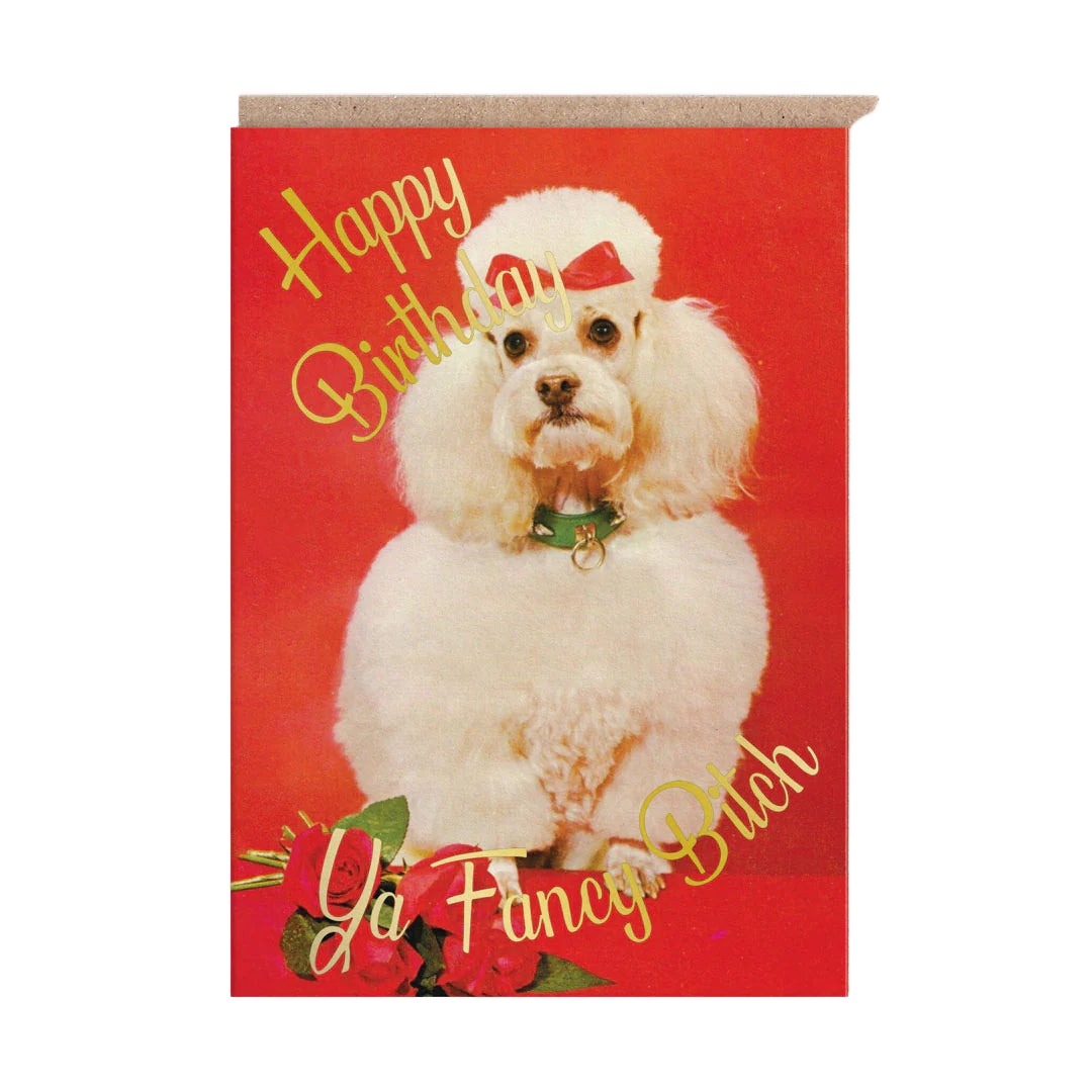 Red birthday card with a white poodle and gold "Happy Birthday" script