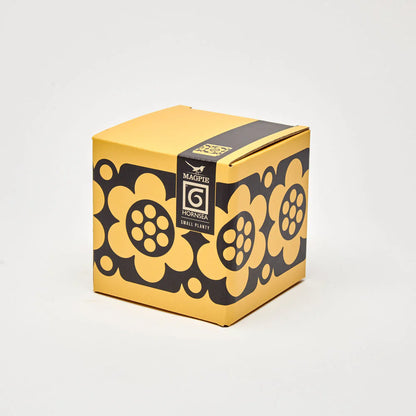 Geo flower plant pot box
