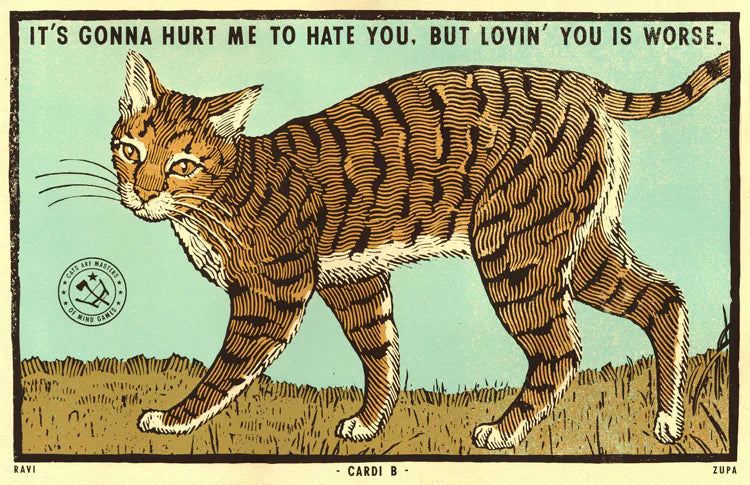 Close-up of the tabby cat print