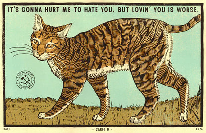 Close-up of the tabby cat print