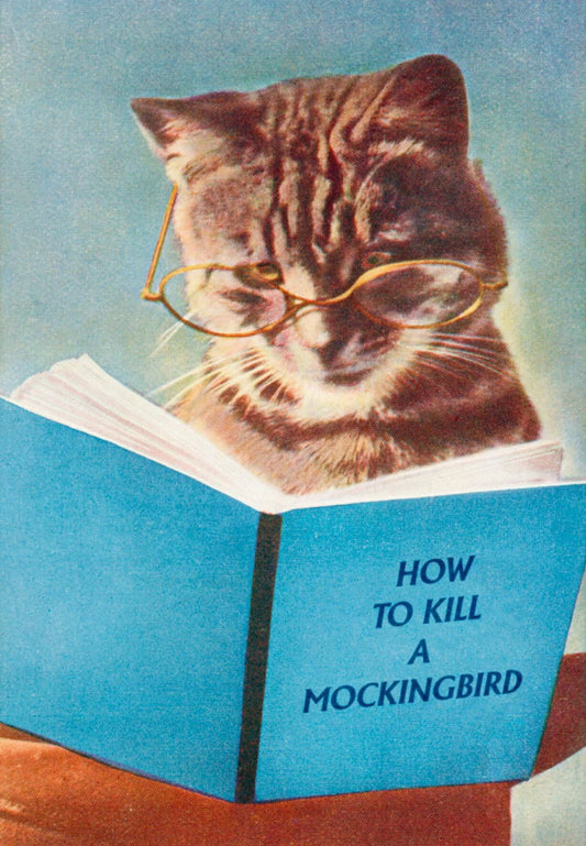Kiss Me Kwik card: a tabby cat in glasses reading a book titled 'How to Kill a Mockingbird'