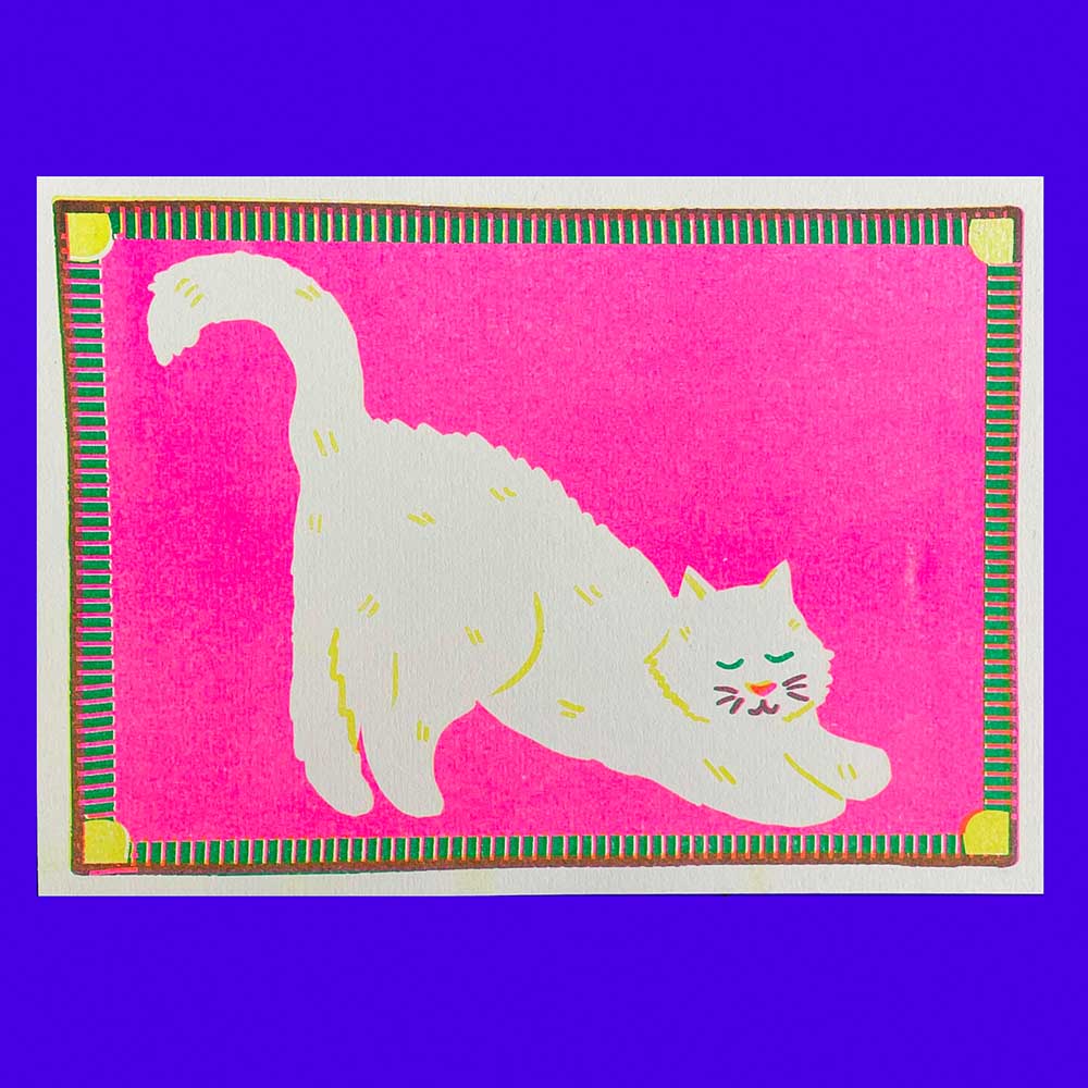 Naomi Wilkinson A5 mini print: a white cat stretching on hot pink