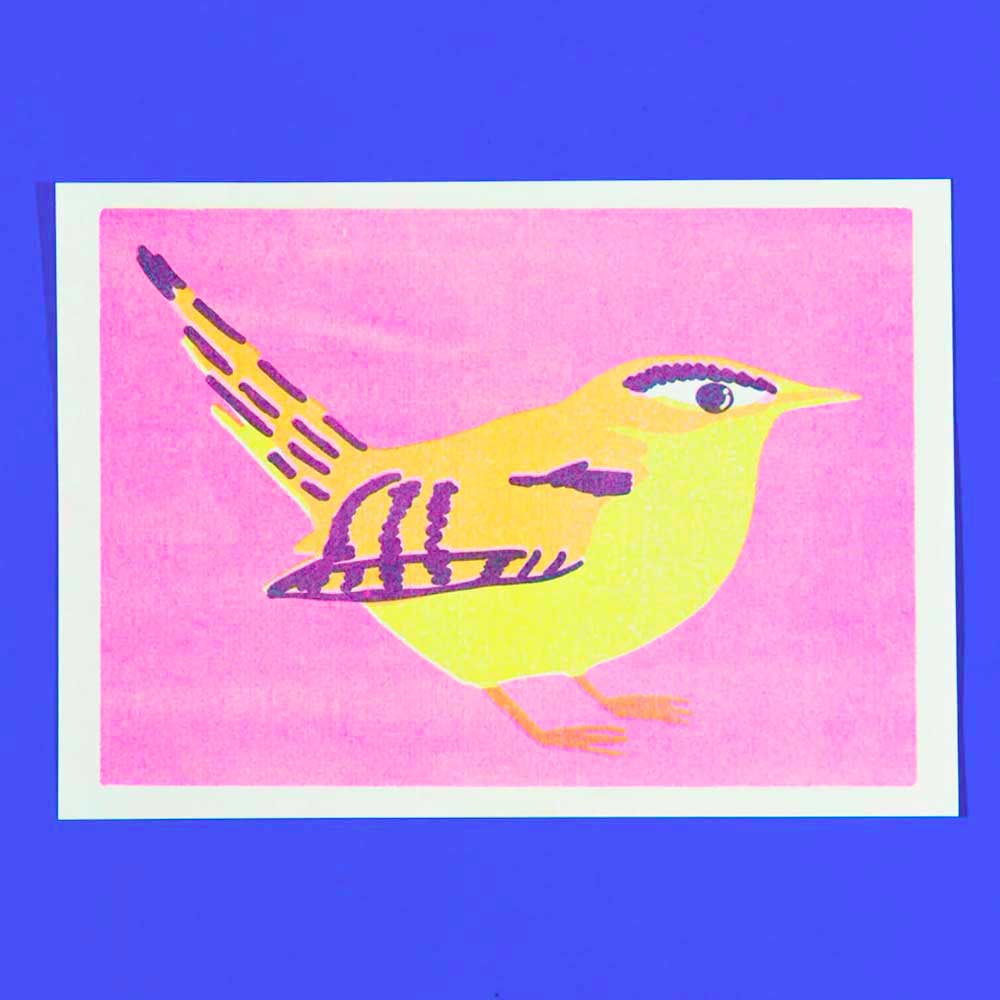 Wren mini print on a blue background