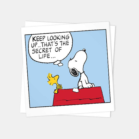 Peanuts card: Snoopy and Woodstock on the doghouse, with 'Keep looking up… that's the secret of life…'