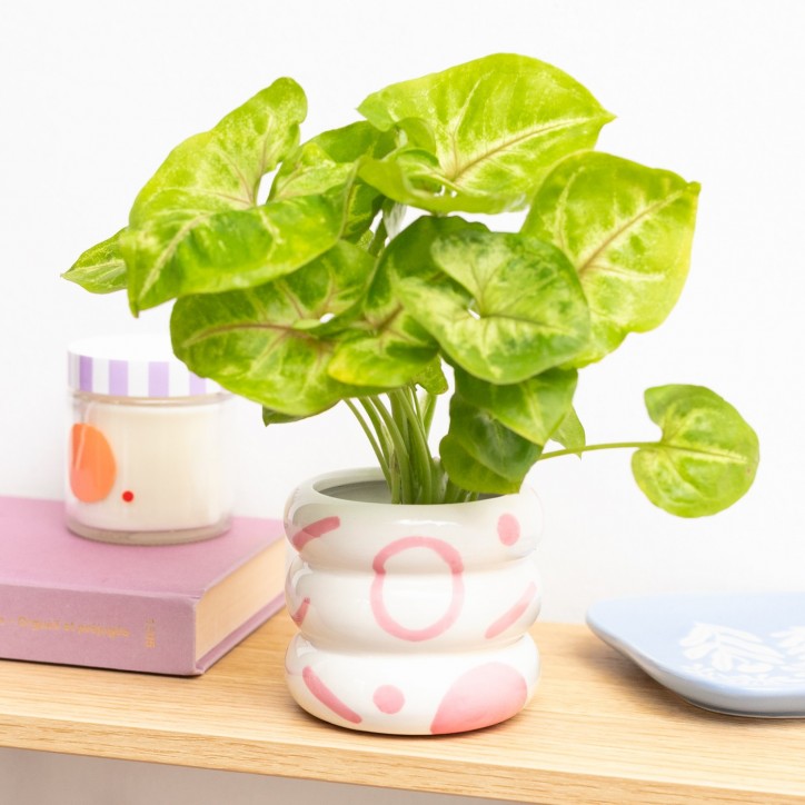 Stacked ring-shaped ceramic plant pot in white with pink marks, holding a leafy plant
