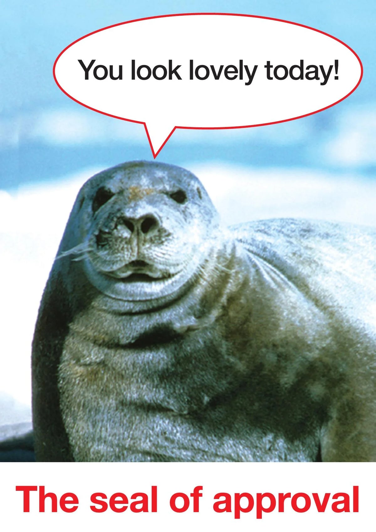 Kiss Me Kwik card: a seal saying 'You look lovely today!', captioned 'The seal of approval'