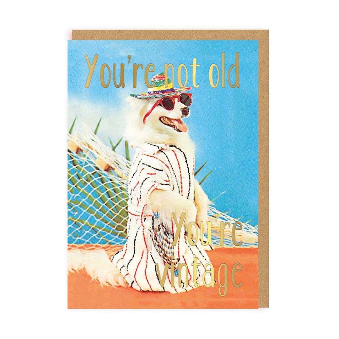 Ohh Deer card: a dog in sunglasses and a striped robe by a pool, with gold text 'You're not old, you're vintage'
