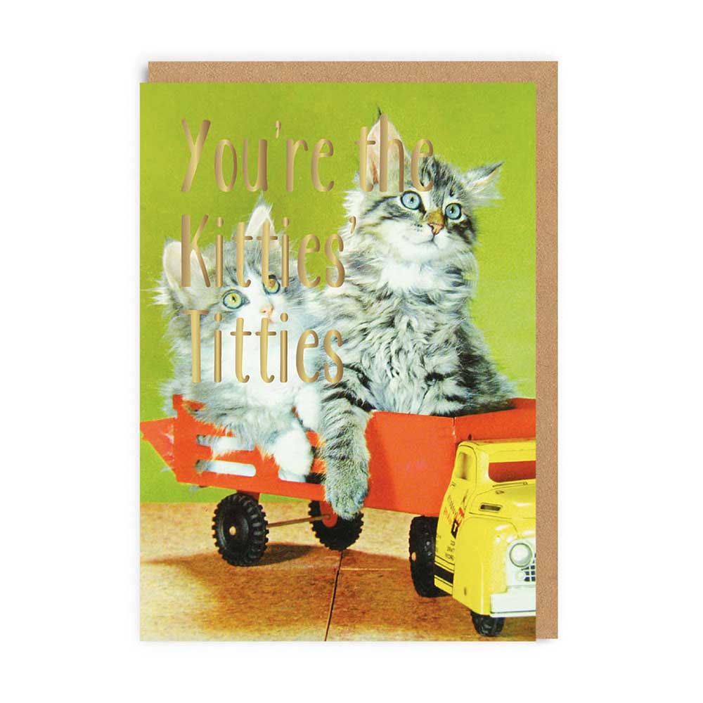 Card with a fluffy kitten in a toy truck: You're the kitties titties