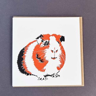 Guinea Pig Square Card - Penguin Ink