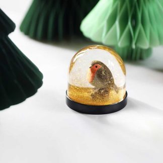 Robin Snow Globe