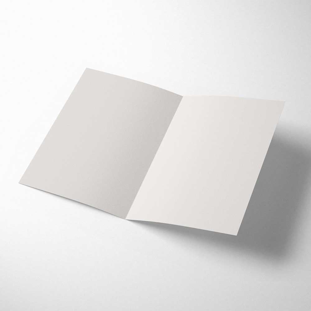 1973-flamingo-hair-happy-birthday-gorgeous-card-4