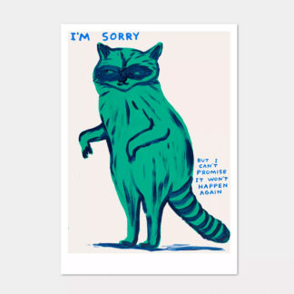 David Shrigley Racoon I Can't Promise Postcard